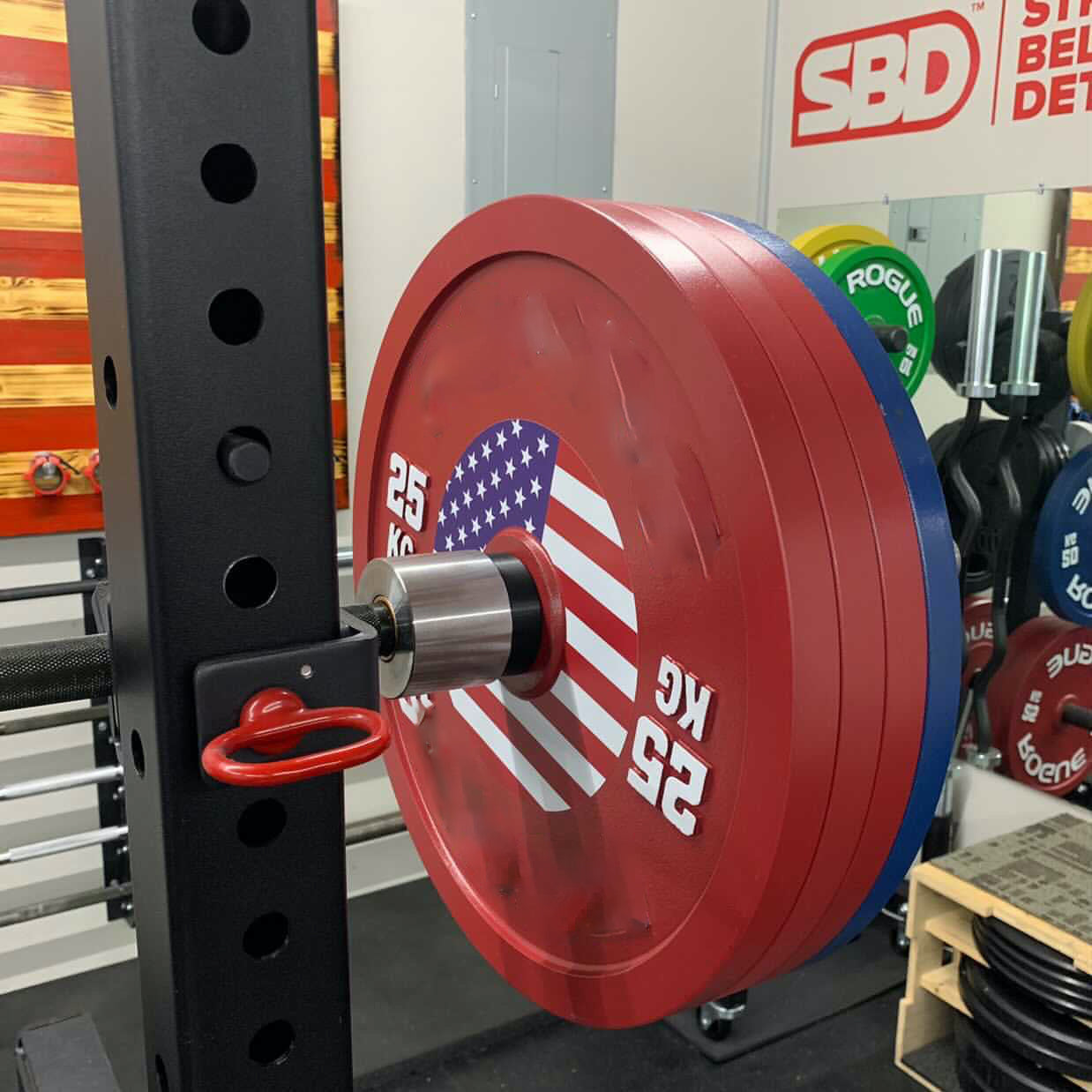 Flag For Front of Calibrated Plates