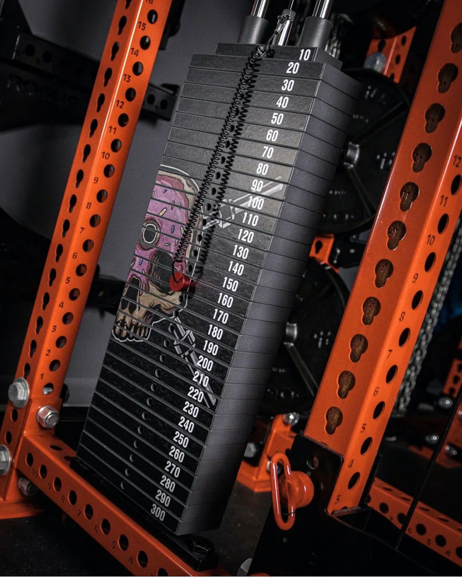 Weight stack in red power rack with the Plate Snacks Donut Skull design on it